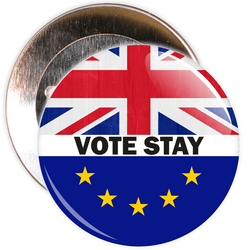 Vote Stay Brexit European Badge