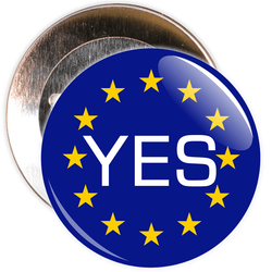 Yes Brexit European Badge