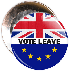 Vote Leave Brexit European Badge