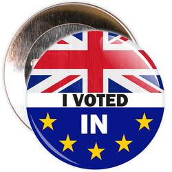 I Voted In Brexit European Badge