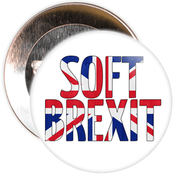 Soft Brexit European Badge