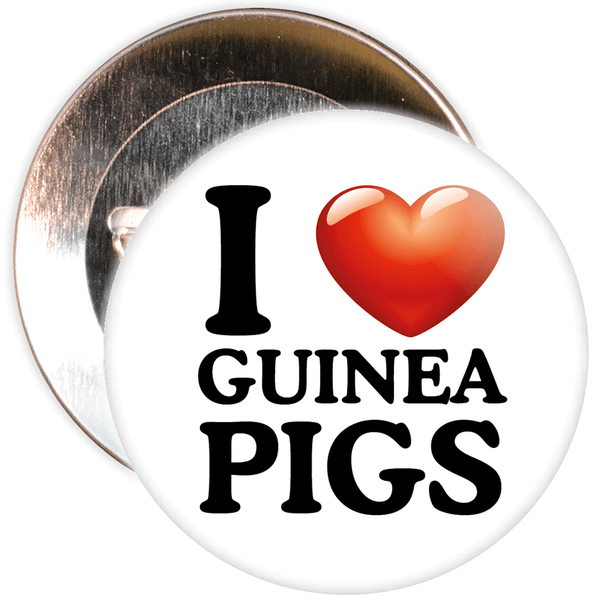 I Love Guinea Pigs Badge