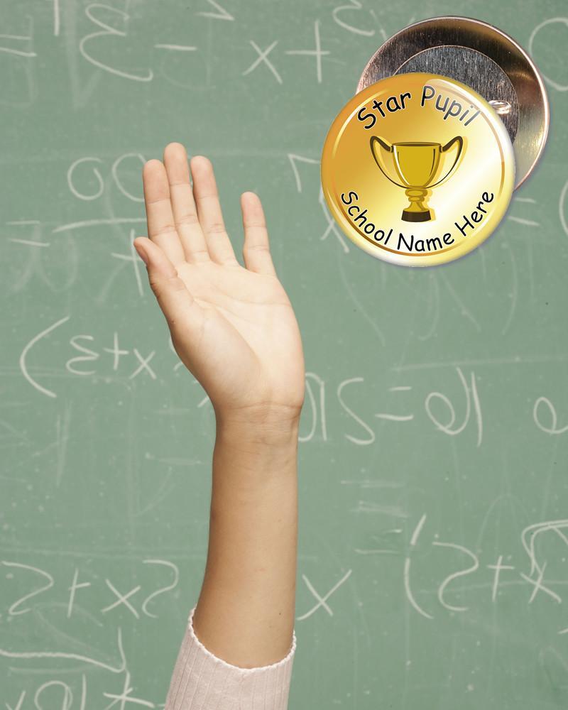 Badges for Schools